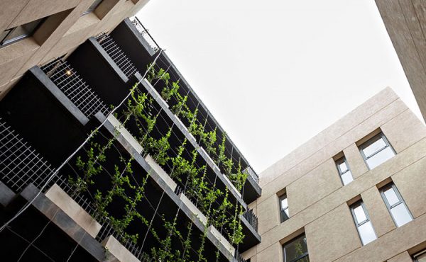 Arquitectura sustentable, cuidando el medio ambiente