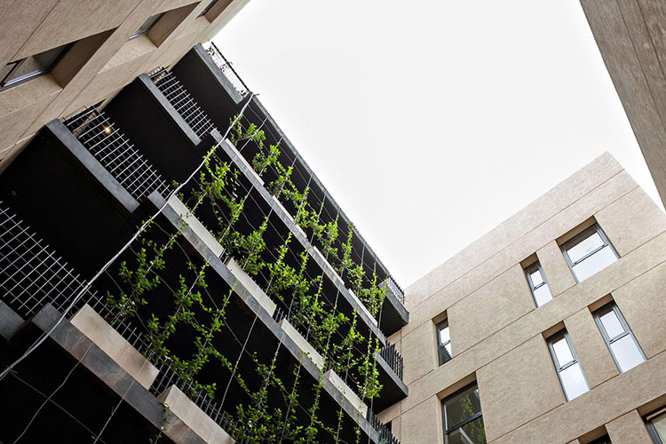 Arquitectura sustentable, cuidando el medio ambiente