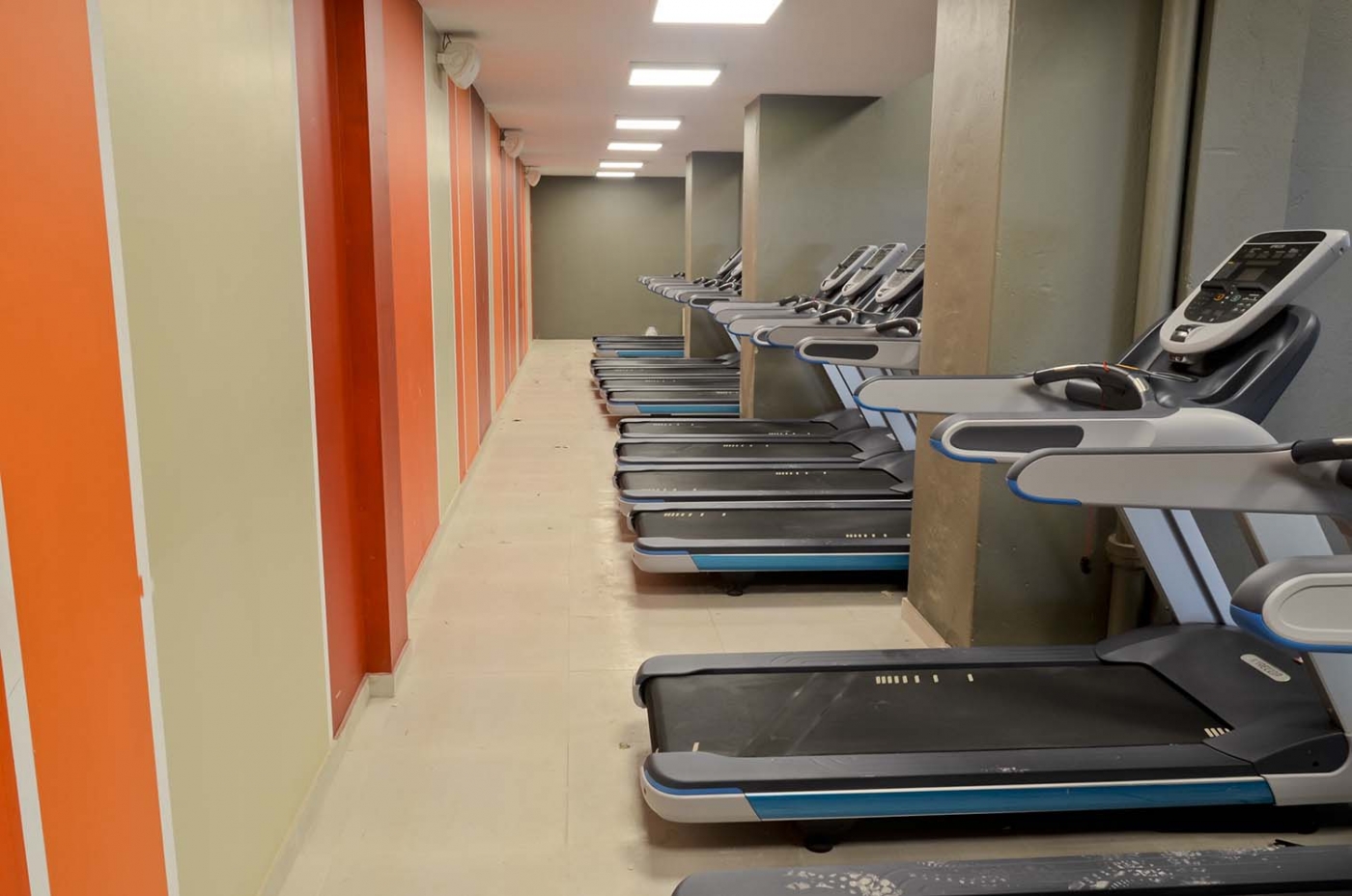 Convenio para la promoción de la actividad física