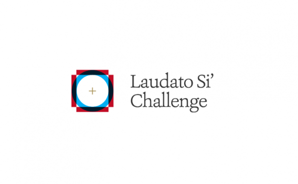 Laudato Si’ Challenge: así es la aceleradora de “startups” éticas del Vaticano