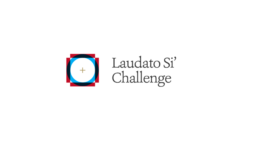 Laudato Si’ Challenge: así es la aceleradora de “startups” éticas del Vaticano