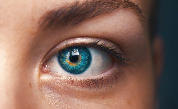 Los 9 tipos de inteligencia. ¿Sabés cuál es el tuyo?