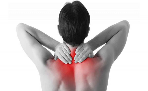 Modelos fisiológicos que explican, el estrés y la fatiga