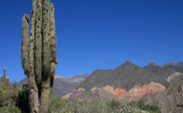 Seminario de Posgrado “Renovaciones de la narrativa reciente en el noroeste argentino: prácticas y discursos sobre lo literario desde la periferia nacional”