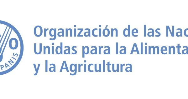 Empleo y programa de pasantías en la FAO