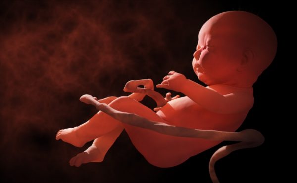 Día del Niño por Nacer