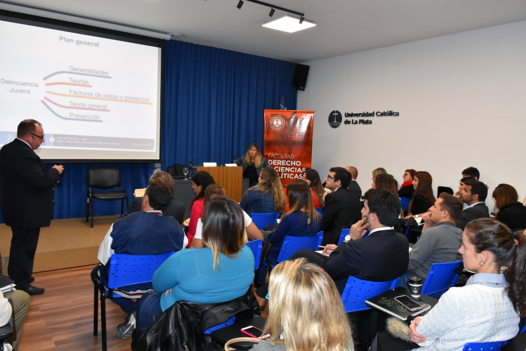 Medir, comprender y prevenir la delincuencia juvenil