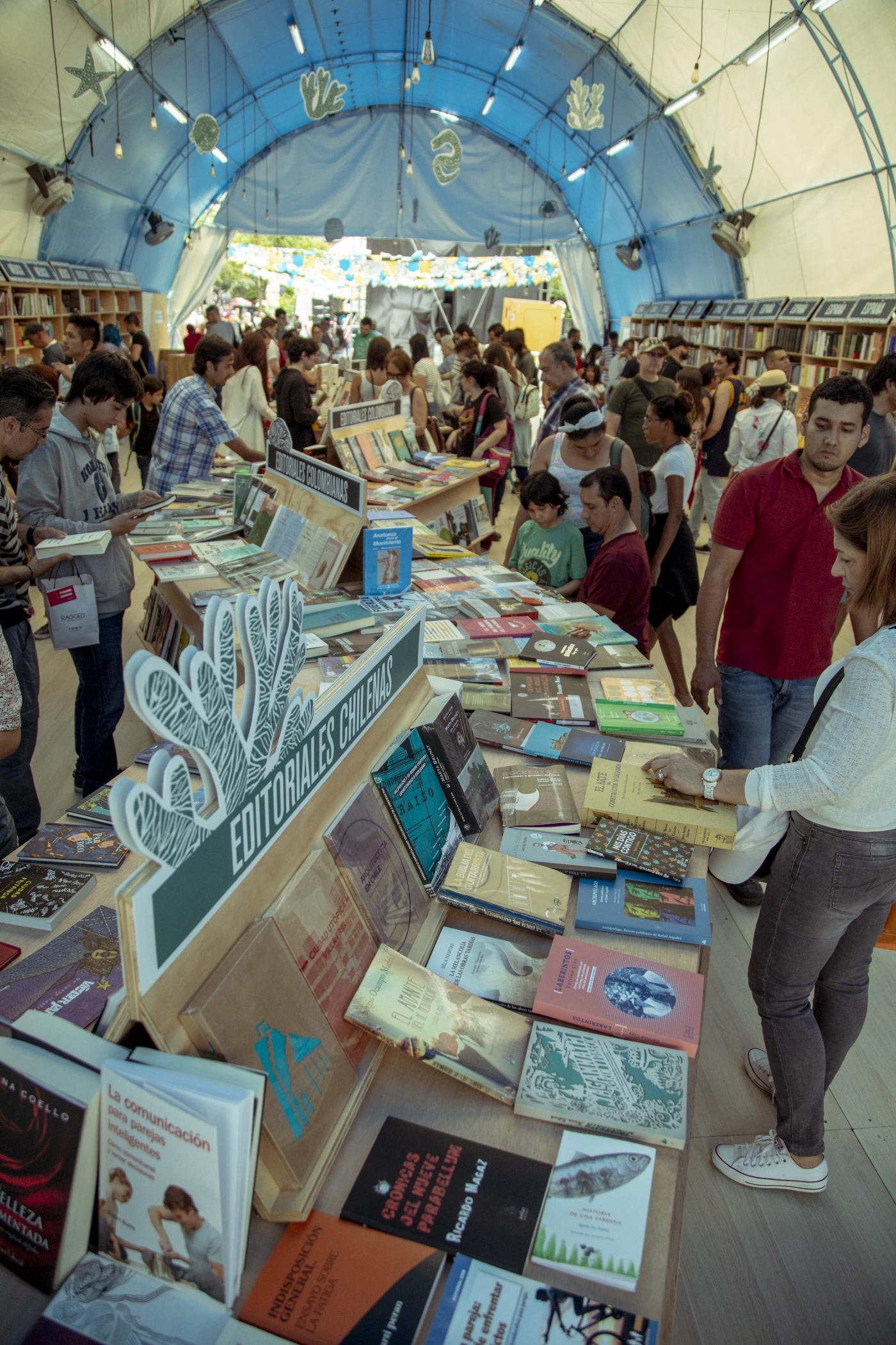 Títulos del fondo editorial UCALP, disponibles en Colombia y México 