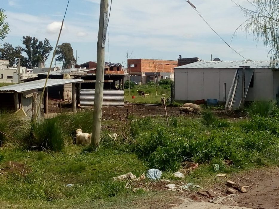 Pobreza de hábitat: Cultura de Salud y Seguridad Alimentaria