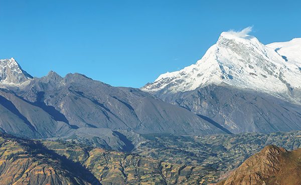 PREFALC | Convocatoria 2020