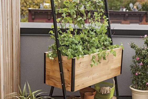 Huerta en balcón, patio, terraza o jardín