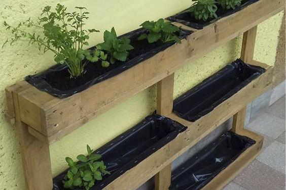 Huerta en balcón, patio, terraza o jardín