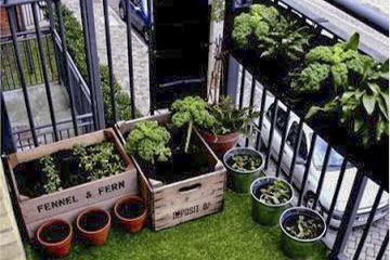 Huerta en balcón, patio, terraza o jardín