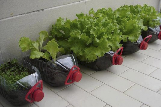 Huerta en balcón, patio, terraza o jardín