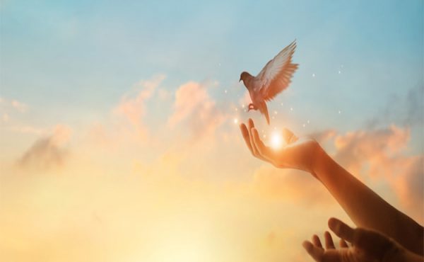 Al final del pasadizo