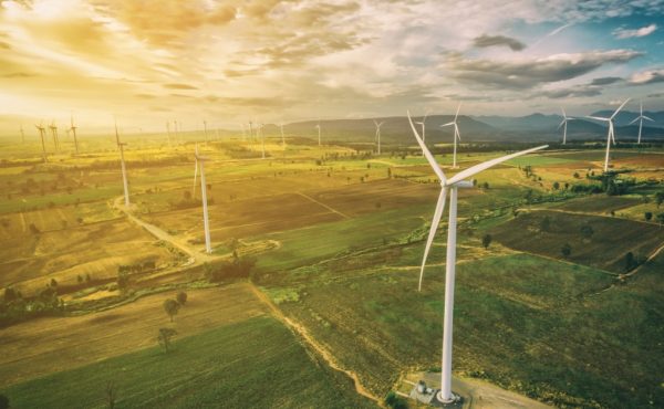 Economía de los recursos naturales y el medioambiente