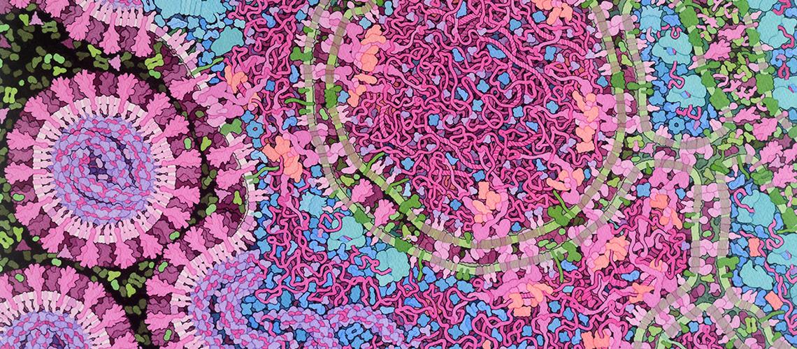 Seminarios WEB sobre Resistencia Antimicrobiana en relación a COVID19