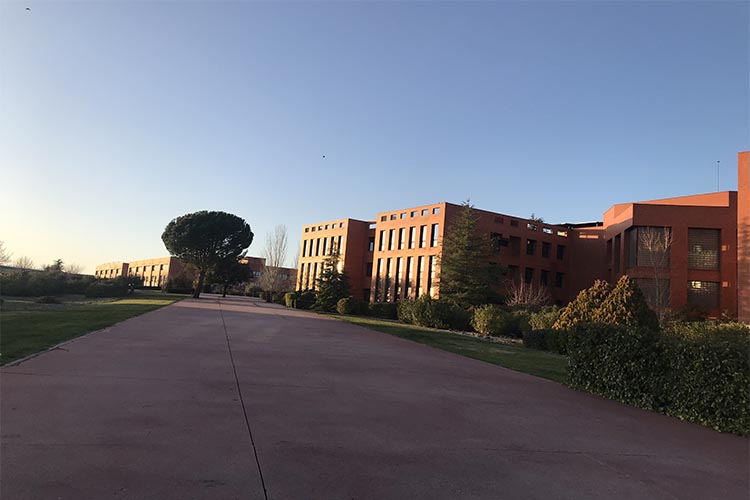 Alumnos de la UCALP y sus experiencias de intercambio