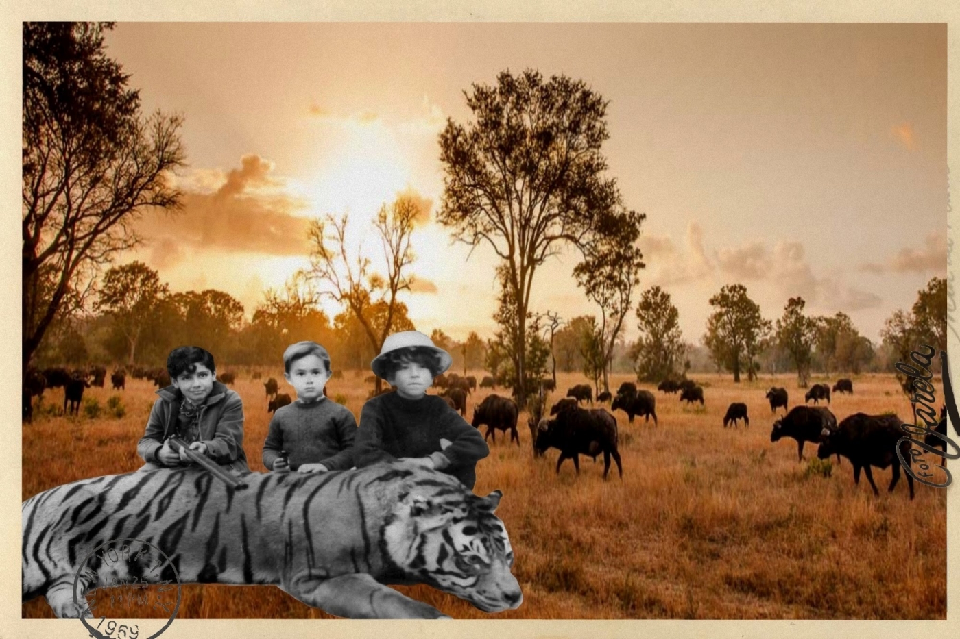 Gracias a la música y a la fotografía, pude aguantar el encierro