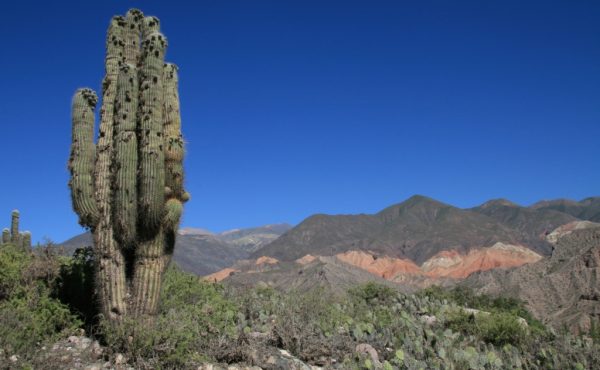 Seminario de Posgrado: “Renovaciones de la narrativa reciente en el noroeste argentino: prácticas y discursos sobre lo literario desde la periferia nacional”