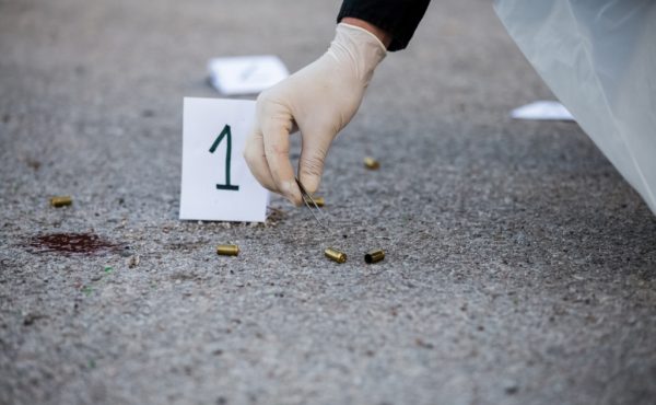 Principios constitucionales en materia penal y el contralor de la prueba pericial