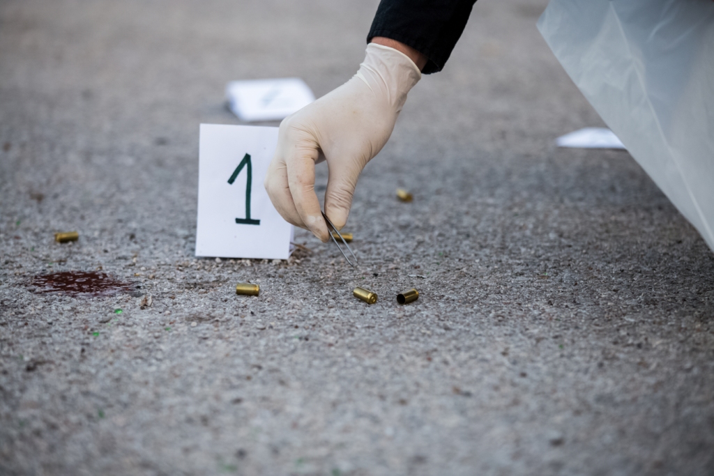 Principios constitucionales en materia penal y el contralor de la prueba pericial