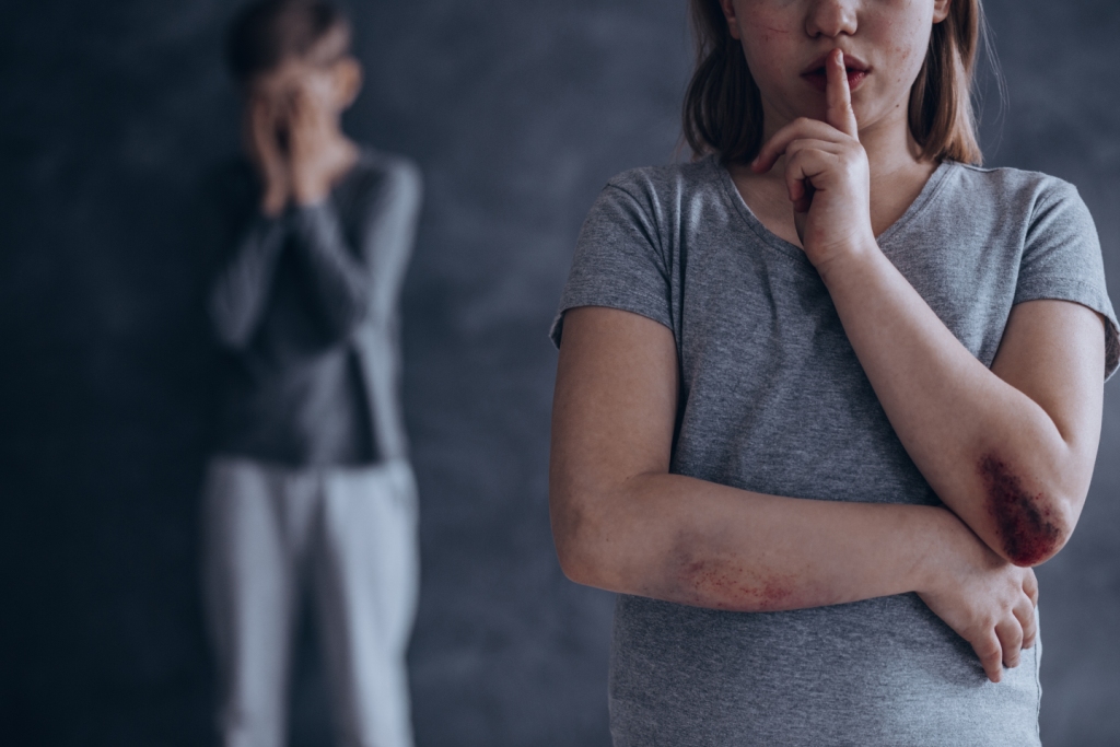 “Seminario de Violencia” organizado por la Especialización en Derecho de Familia UCALP