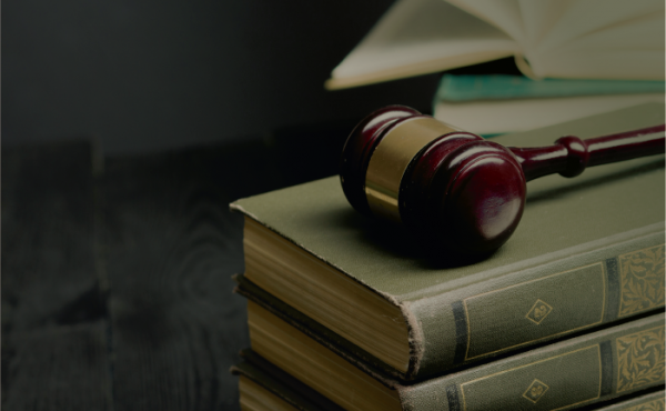 Seminario Jueces y Normas – Teoría y Práctica de la Decisión Judicial