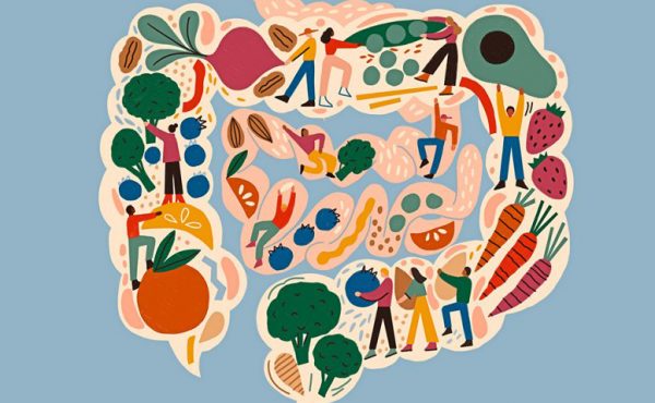 ¿Cómo afecta nuestra dieta a la microbiota intestinal?