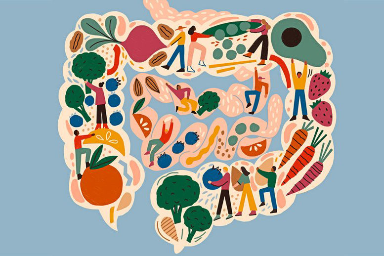 ¿Cómo afecta nuestra dieta a la microbiota intestinal?