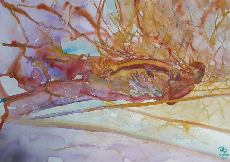 Obras del Director del Museo UCALP en la Fragata Libertad