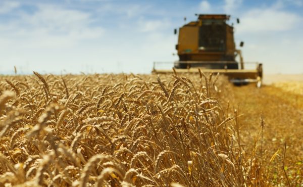 Curso internacional sobre los principios para la inversión responsable en la agricultura y los sistemas alimentarios