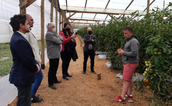 Visita al Cinturón Frutihortícola Platense – Asociación de Productores Platenses