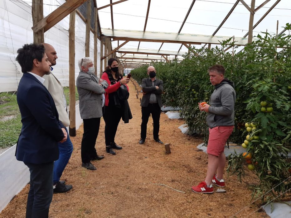 Visita al Cinturón Frutihortícola Platense – Asociación de Productores Platenses