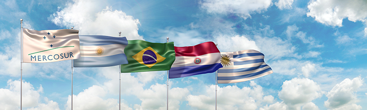 Convocatoria pasantías virtuales en la Unidad de Comunicación e Información del Mercosur