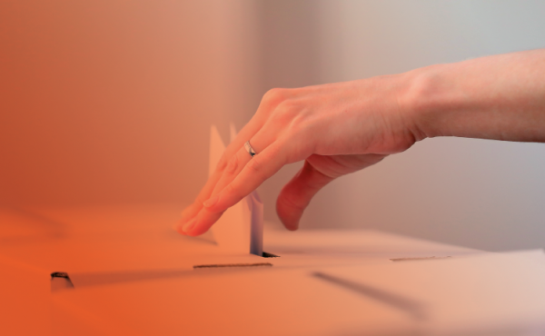 Taller de Observación Electoral