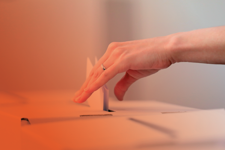 Taller de Observación Electoral