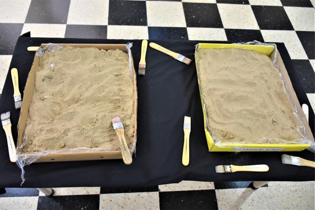 Se presentó la expo ‘’Dinosaurios y Momias’’ realizada por el Jardín José Manuel Estada