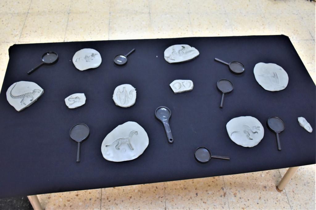 Se presentó la expo ‘’Dinosaurios y Momias’’ realizada por el Jardín José Manuel Estada