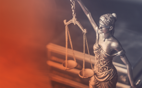 IX Diplomatura Internacional: Teoría del Delito, Teoría del Caso y Litigación Penal