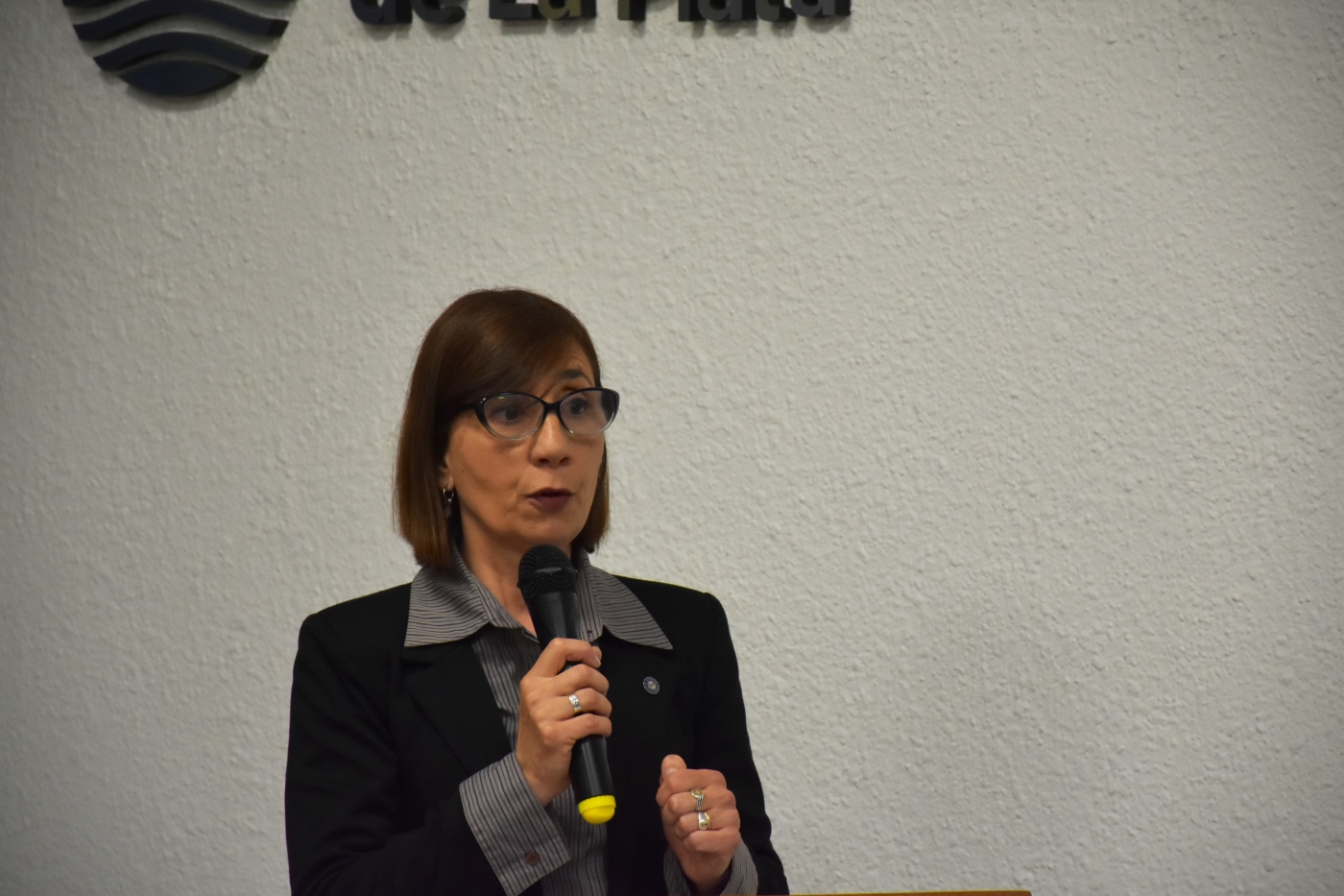 Se presentó el libro ‘‘Historias cautivas, versos libres’’