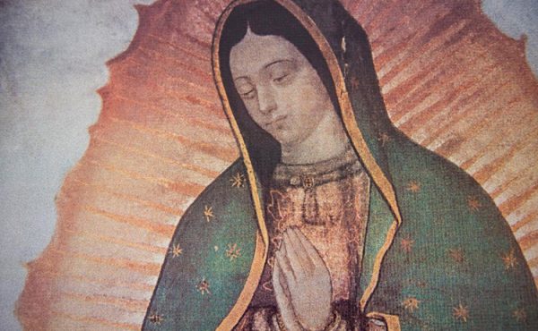Día de Nuestra Señora de Guadalupe, patrona de la UCALP