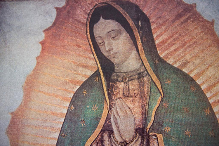 Día de Nuestra Señora de Guadalupe, patrona de la UCALP