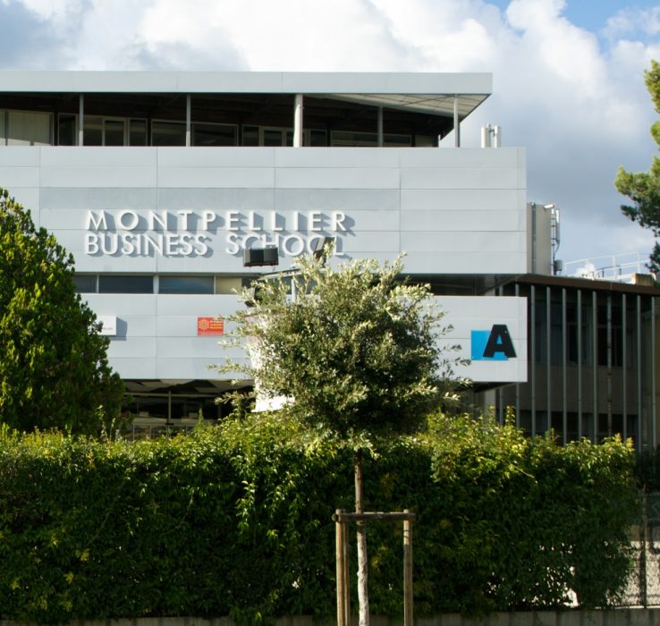 Nueva beca de estudios para argentinos en Montpellier (Francia)