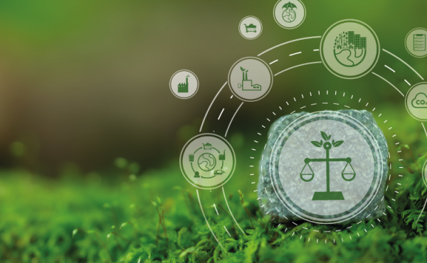 Diplomatura sobre derecho procesal ambiental y cambio climático