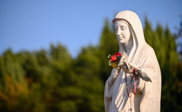 Aprueban la devoción a Nuestra Señora Rosa Mística