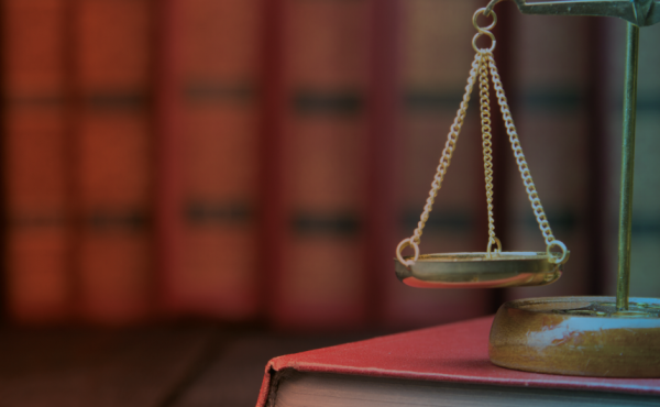 Jornadas de actualización en materia de prescripción adquisitiva