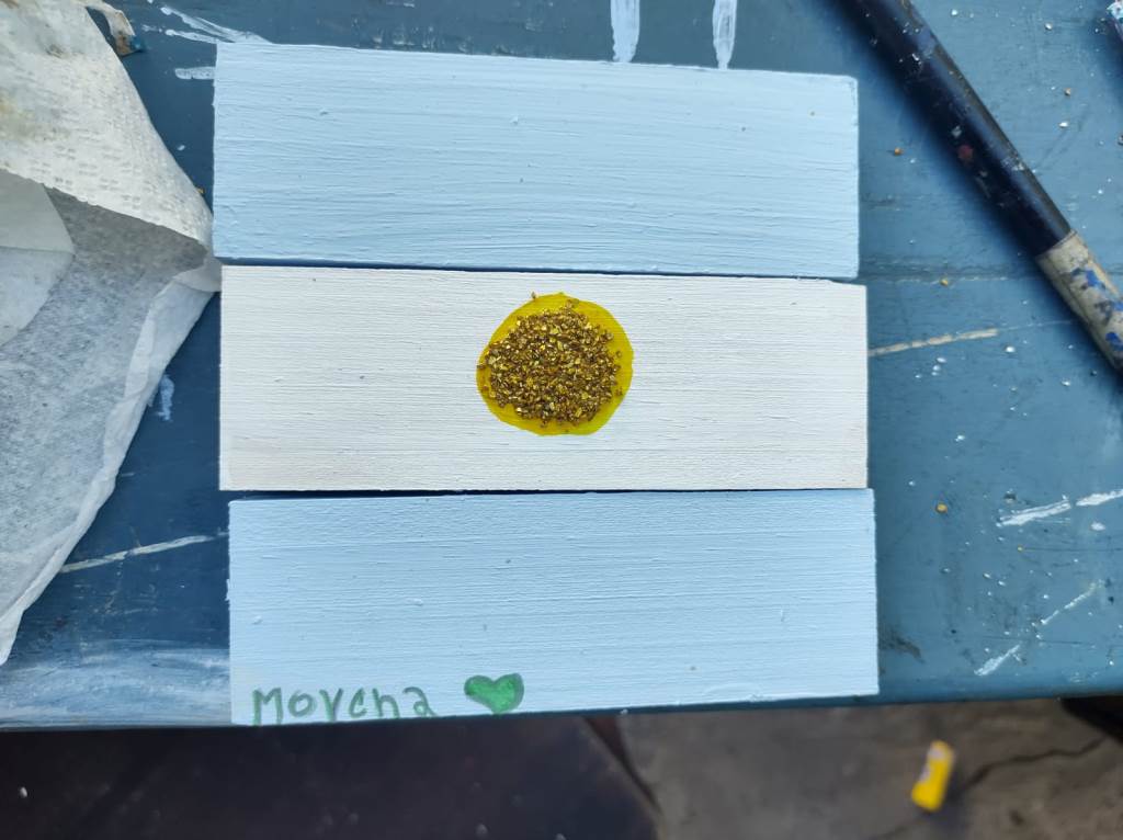 Imágenes Centro Santa Clara de Asís (143)