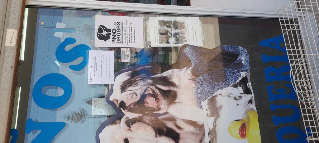 Imágenes Centro Santa Clara de Asís (20)