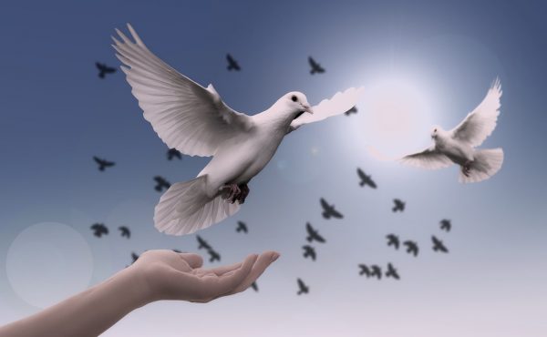 Conferencia en la UCALP: ¿Quién garantiza la paz en el siglo XXI?